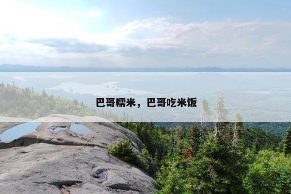 巴哥糯米，巴哥吃米饭