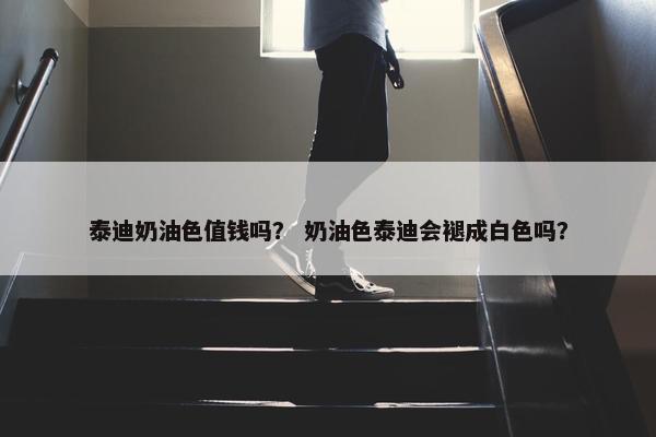泰迪奶油色值钱吗？ 奶油色泰迪会褪成白色吗？