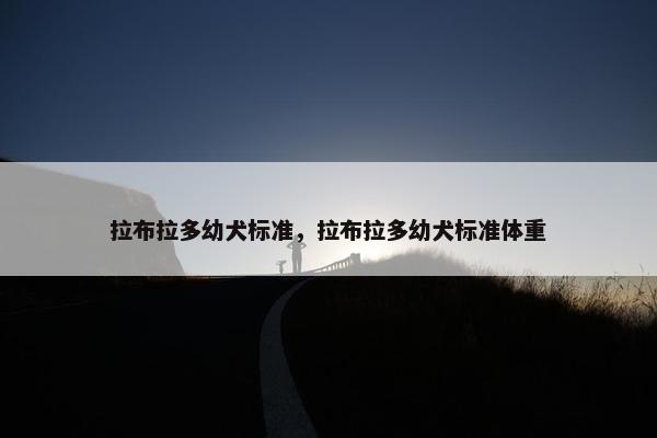 拉布拉多幼犬标准，拉布拉多幼犬标准体重