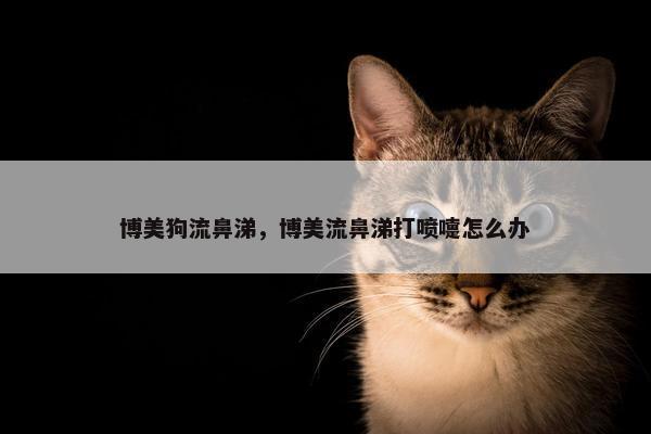 博美狗流鼻涕，博美流鼻涕打喷嚏怎么办