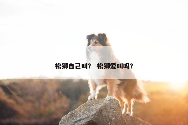 松狮自己叫？ 松狮爱叫吗？