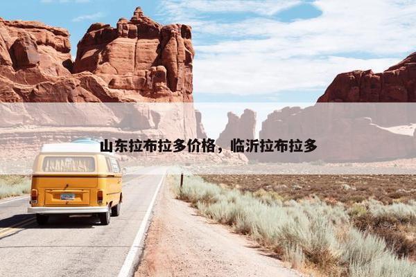 山东拉布拉多价格，临沂拉布拉多