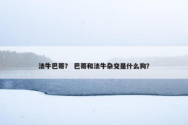 法牛巴哥？ 巴哥和法牛杂交是什么狗？