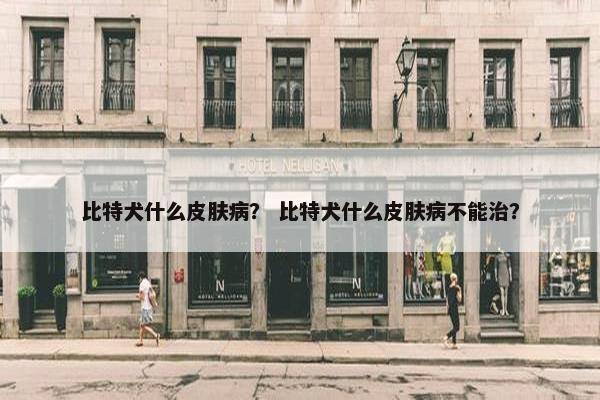 比特犬什么皮肤病？ 比特犬什么皮肤病不能治？
