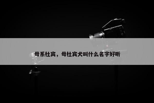 母系杜宾，母杜宾犬叫什么名字好听