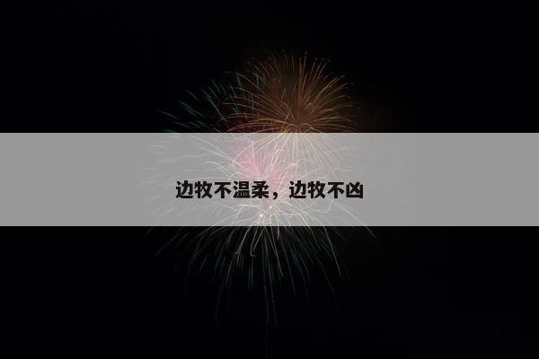 边牧不温柔，边牧不凶