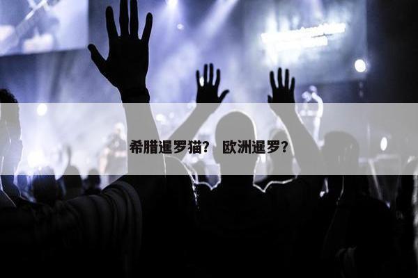 希腊暹罗猫？ 欧洲暹罗？