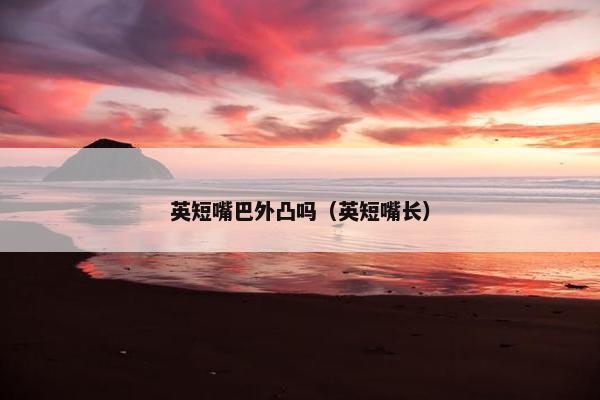 英短嘴巴外凸吗（英短嘴长）