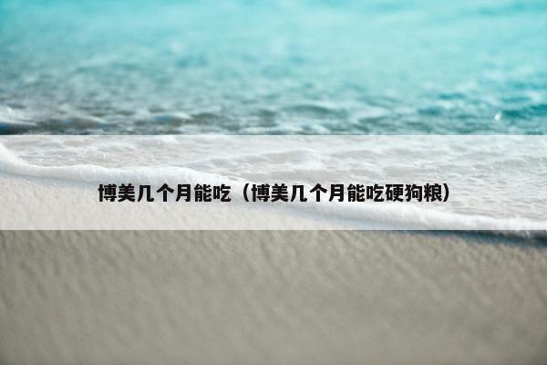 博美几个月能吃（博美几个月能吃硬狗粮）