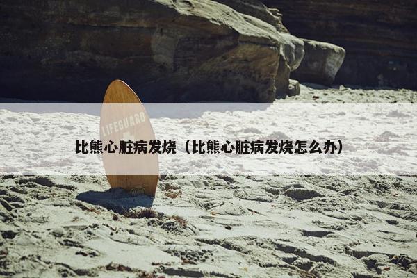 比熊心脏病发烧（比熊心脏病发烧怎么办）