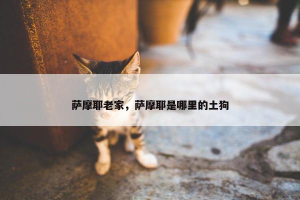 萨摩耶老家，萨摩耶是哪里的土狗