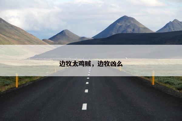 边牧太鸡贼，边牧凶么