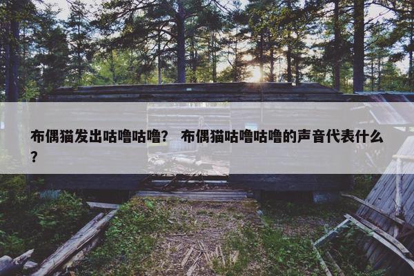 布偶猫发出咕噜咕噜？ 布偶猫咕噜咕噜的声音代表什么？