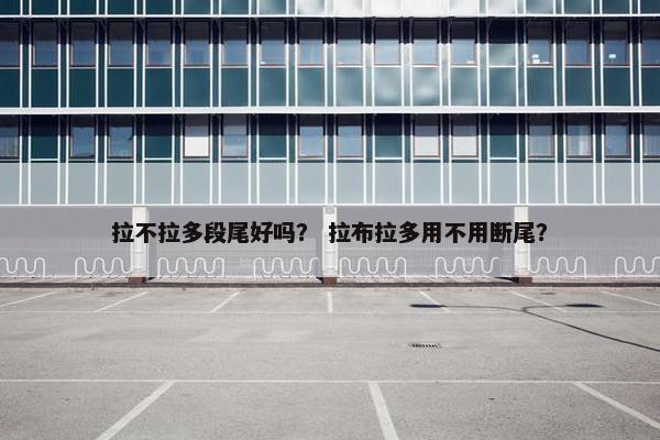 拉不拉多段尾好吗？ 拉布拉多用不用断尾？