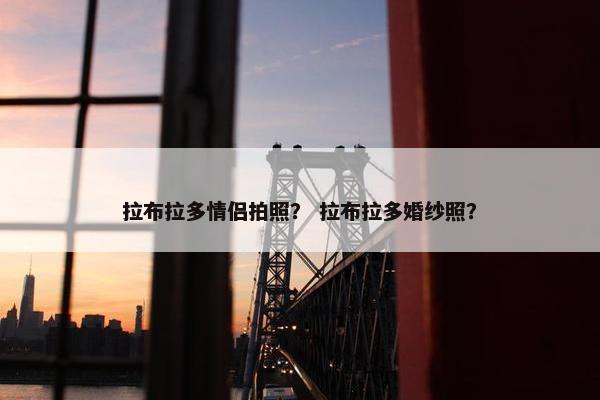 拉布拉多情侣拍照？ 拉布拉多婚纱照？
