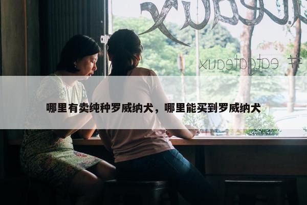 哪里有卖纯种罗威纳犬，哪里能买到罗威纳犬