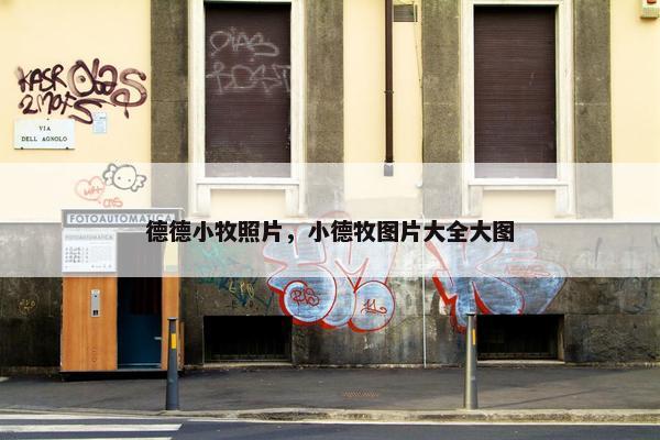 德德小牧照片，小德牧图片大全大图
