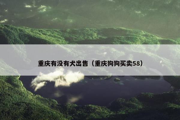 重庆有没有犬出售（重庆狗狗买卖58）
