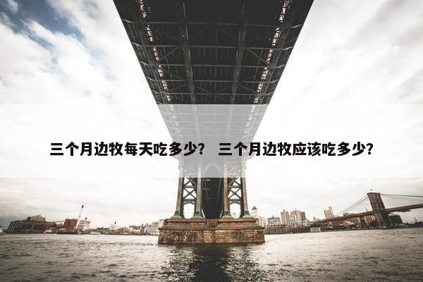 三个月边牧每天吃多少？ 三个月边牧应该吃多少？