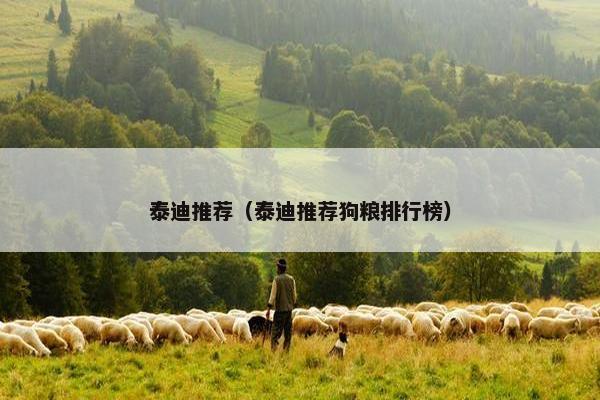 泰迪推荐（泰迪推荐狗粮排行榜）