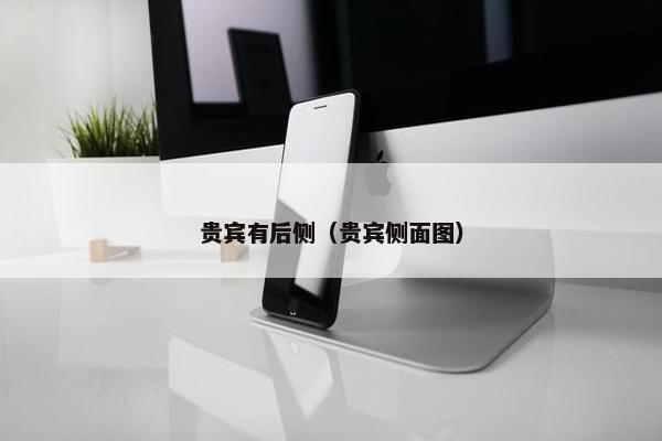 贵宾有后侧（贵宾侧面图）