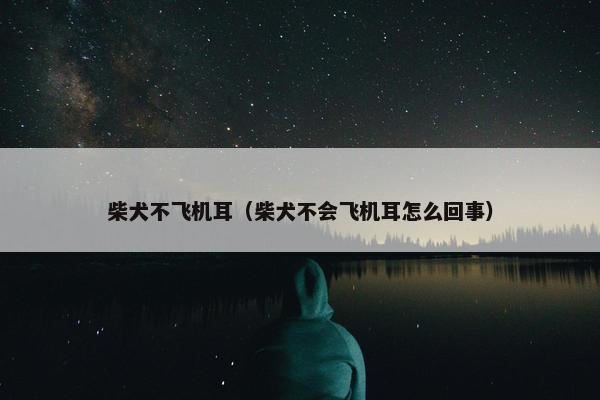 柴犬不飞机耳（柴犬不会飞机耳怎么回事）