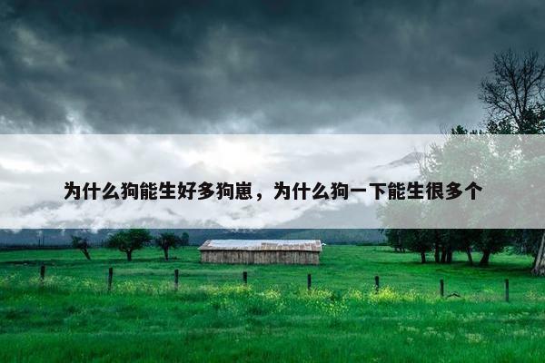 为什么狗能生好多狗崽，为什么狗一下能生很多个