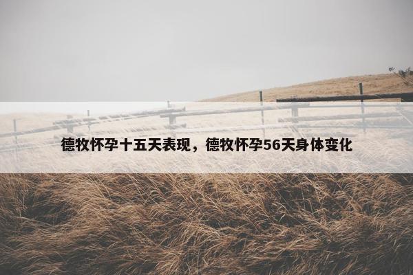 德牧怀孕十五天表现，德牧怀孕56天身体变化