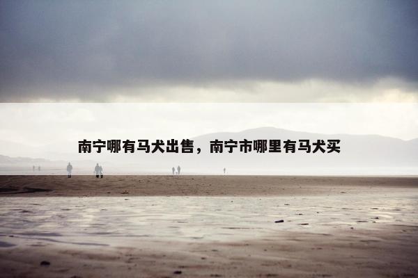 南宁哪有马犬出售，南宁市哪里有马犬买