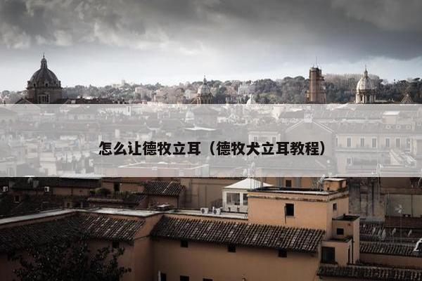 怎么让德牧立耳（德牧犬立耳教程）