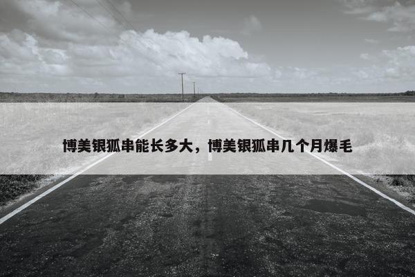博美银狐串能长多大，博美银狐串几个月爆毛