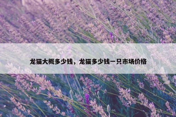 龙猫大概多少钱，龙猫多少钱一只市场价格