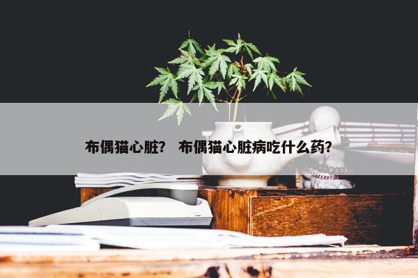 布偶猫心脏？ 布偶猫心脏病吃什么药？