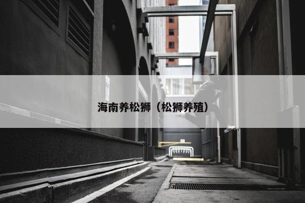 海南养松狮（松狮养殖）