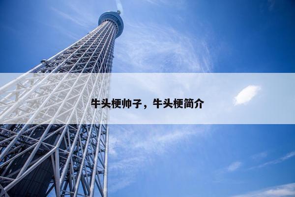 牛头梗帅子，牛头梗简介