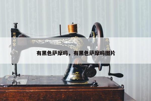 有黑色萨摩吗，有黑色萨摩吗图片