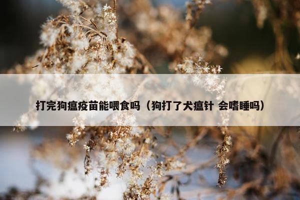 打完狗瘟疫苗能喂食吗（狗打了犬瘟针 会嗜睡吗）