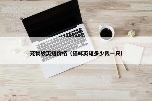 宠物级英短价格（猫咪英短多少钱一只）