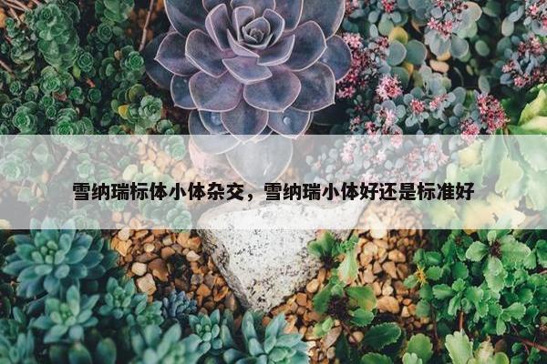 雪纳瑞标体小体杂交，雪纳瑞小体好还是标准好