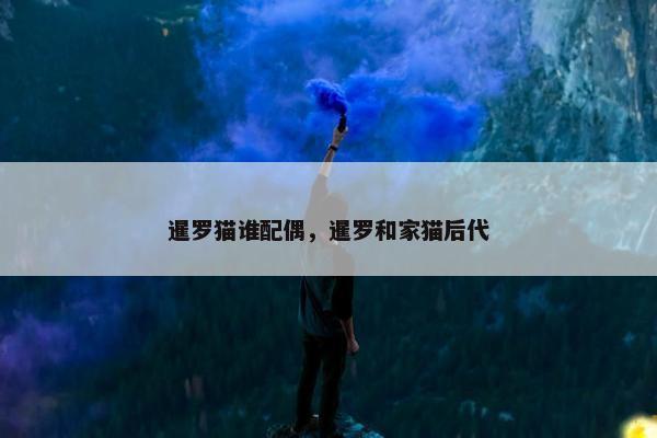 暹罗猫谁配偶，暹罗和家猫后代