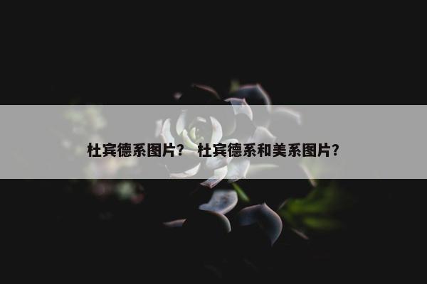 杜宾德系图片？ 杜宾德系和美系图片？