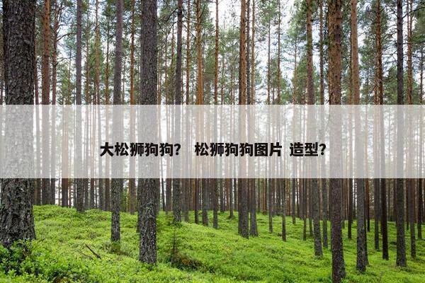 大松狮狗狗？ 松狮狗狗图片 造型？