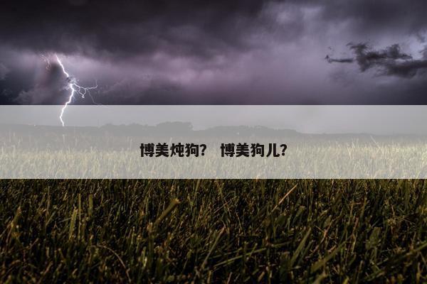 博美炖狗？ 博美狗儿？