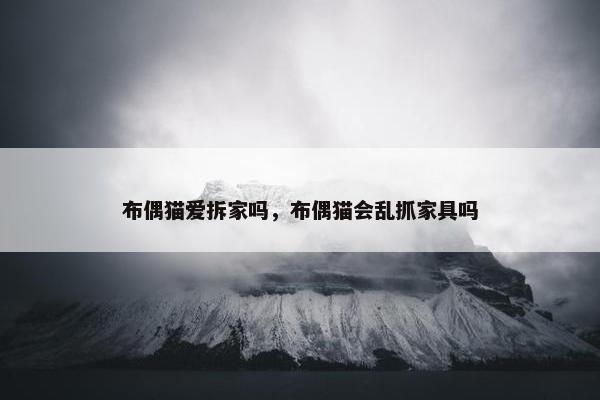 布偶猫爱拆家吗，布偶猫会乱抓家具吗
