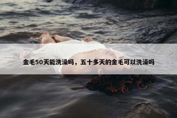 金毛50天能洗澡吗，五十多天的金毛可以洗澡吗