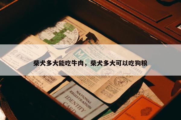 柴犬多大能吃牛肉，柴犬多大可以吃狗粮
