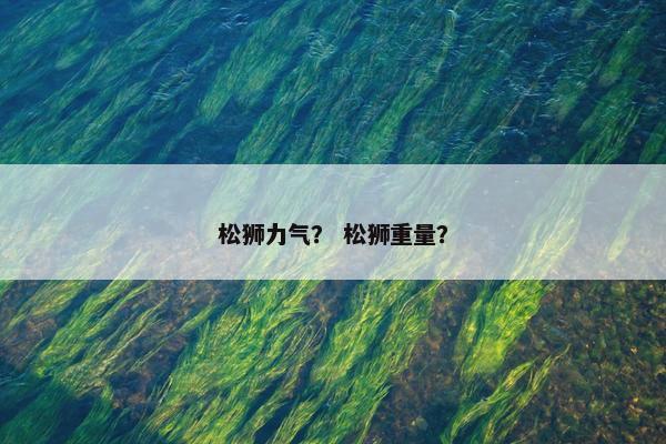 松狮力气？ 松狮重量？