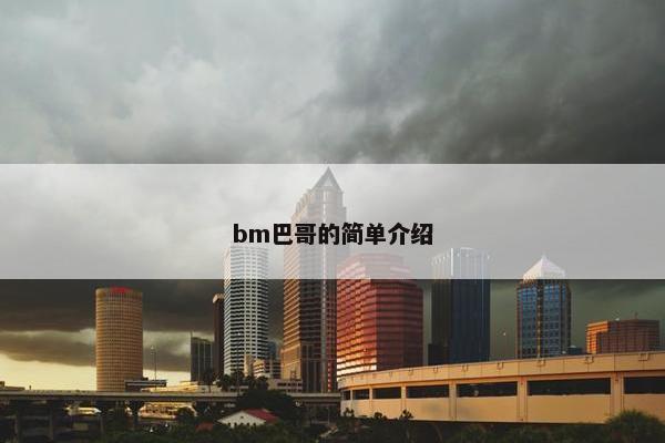 bm巴哥的简单介绍