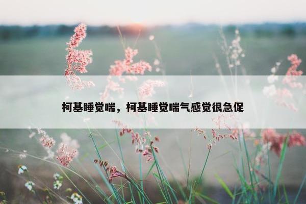 柯基睡觉喘，柯基睡觉喘气感觉很急促