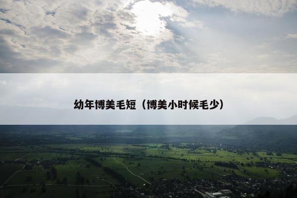 幼年博美毛短（博美小时候毛少）